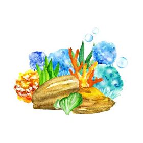 奇异的加勒比海采购产品多颜色的石头珊瑚海藻有趣的鱼贝壳螃蟹