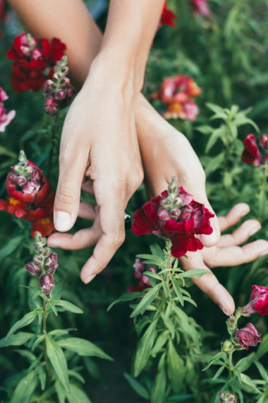 手中一位手捧鮮花的美麗的年輕姑娘