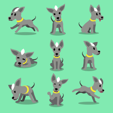 卡通人物無(wú)毛狗姿勢(shì)圖片