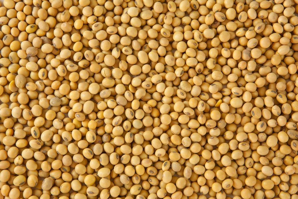 大豆豆模式