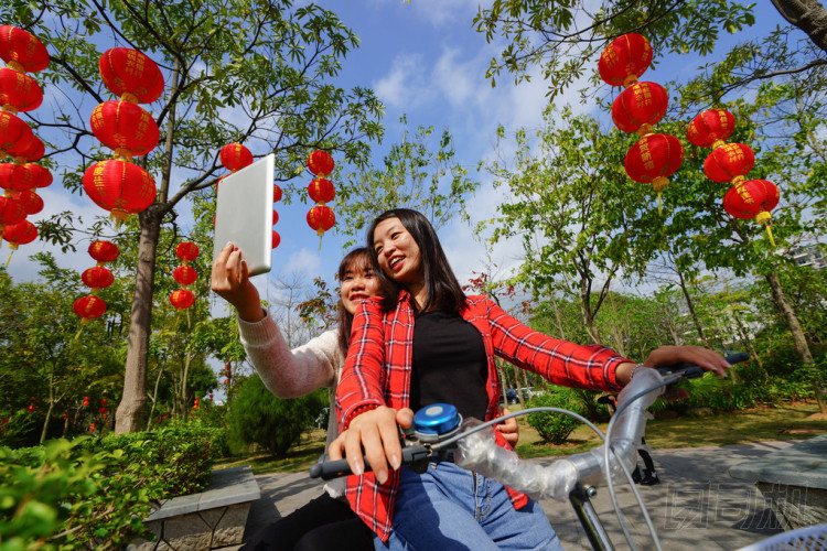 婦女與在公園里的小工具圖片