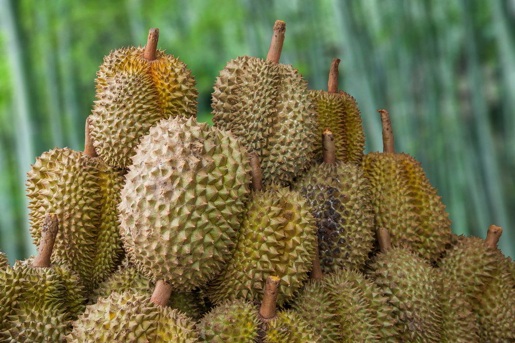 泰国古城清迈---杜里安的水果市场 泰国古城清迈---杜里安的水果市场