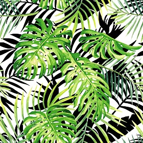 热带植物水彩图案，黑色和白色叶 silho