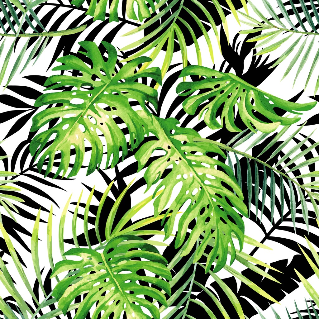 热带植物水彩图案,黑色和白色叶 silho 热带植物水彩图案,黑色和白色叶 silho