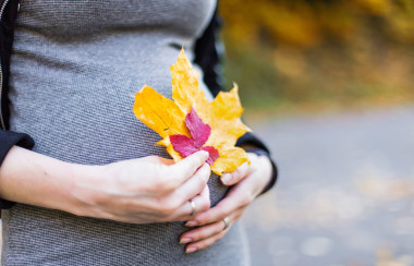腹部懷孕女孩密切聯(lián)系秋天的葉子