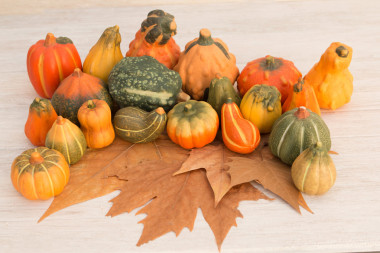 在秋天的落葉上收獲南瓜