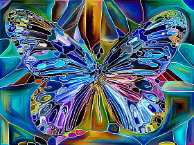 蝴蝶的颜色背景