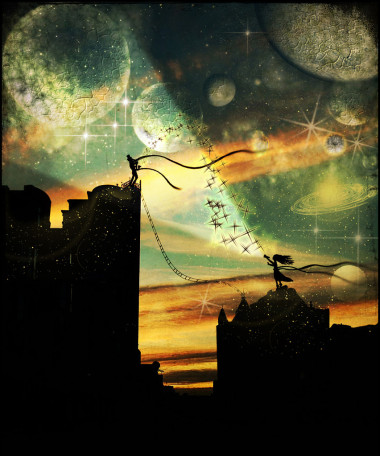 在晚上的屋頂上的鴿子雙圖片