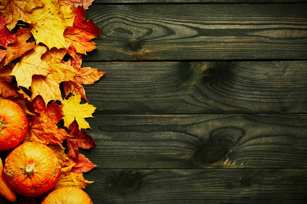 秋天的树叶和南瓜 秋天的树叶和南瓜