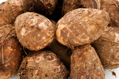 佐藤國(guó)際海事組織