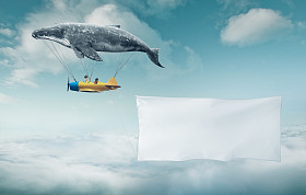 鲸鱼和飞机两个女孩在横幅上