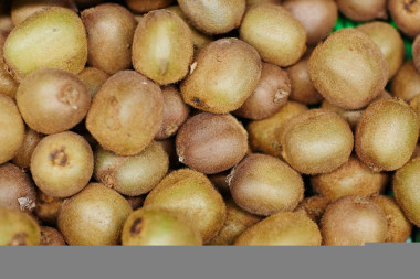 堆的成熟獼猴桃果實