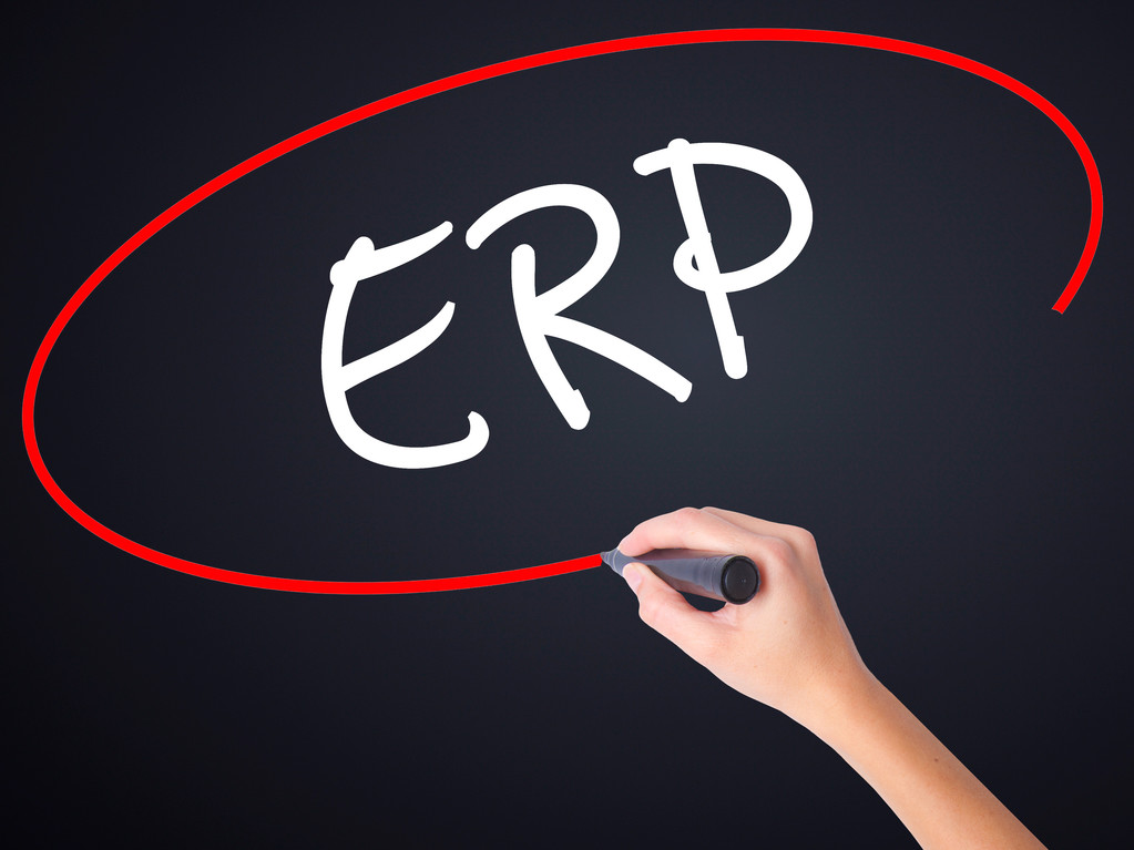 女人的手写作 Erp (企业资源规划) 与