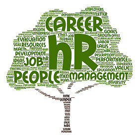 人力资源管理词云