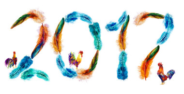 2017 年新中國雞公雞農(nóng)歷鳥概念