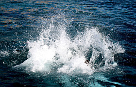 蓝色的水溅照片