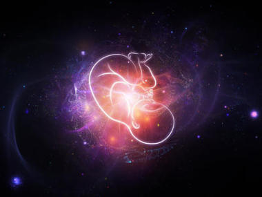 胎兒的內(nèi)心生活