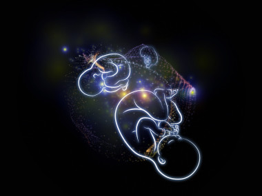 不斷變化的胎兒