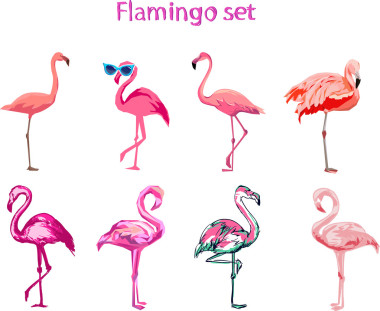 套的卡通火烈鳥 