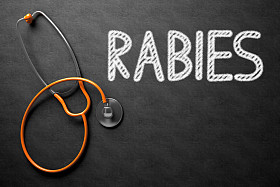 黑板上的狂犬病3d 插图