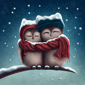 小小的雪猫头鹰