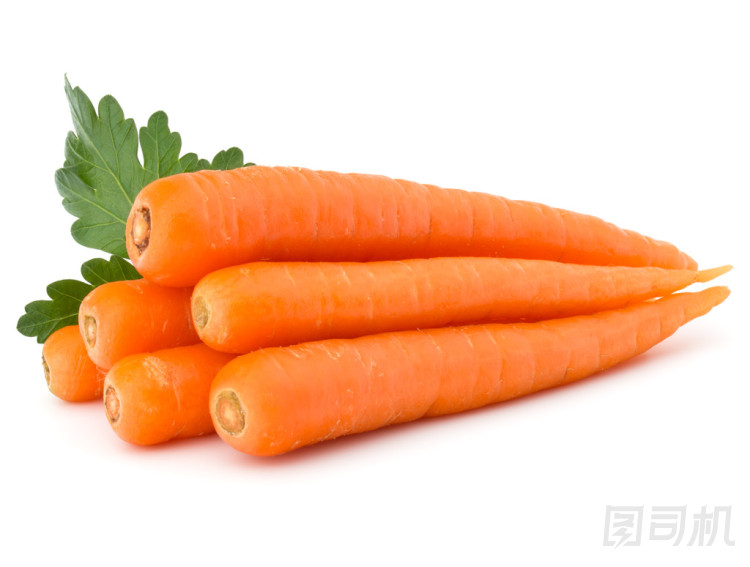 孤立的甜生胡蘿卜