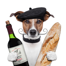 法国狗酒 baguete 贝雷帽