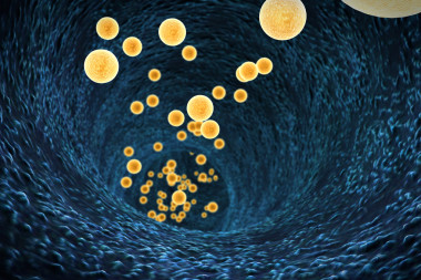 高質量的 3d 渲染的血液細胞