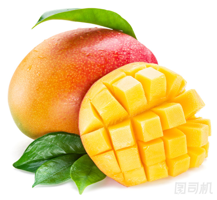 芒果的多維數(shù)據(jù)集和芒果。在白色背景上孤立