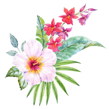 水彩的热带花束图片