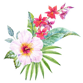 水彩的热带花束图片