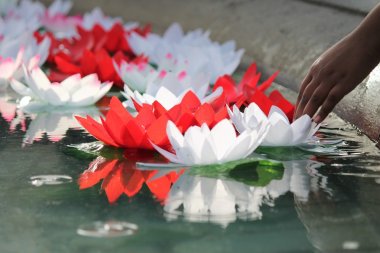 节日的代沃利莲花提供上水