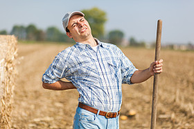 农民有背痛照片