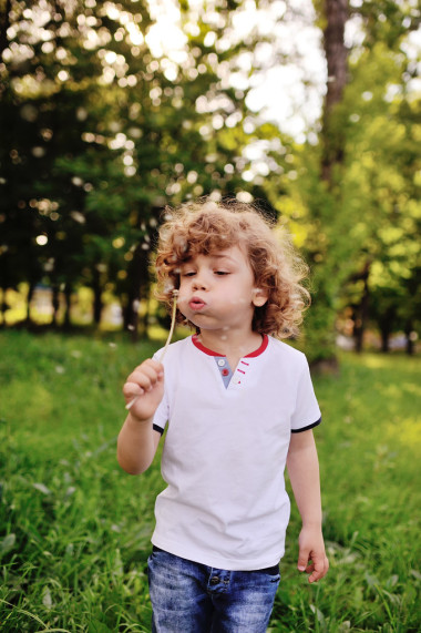 男嬰與蒲公英在綠色背景上的手