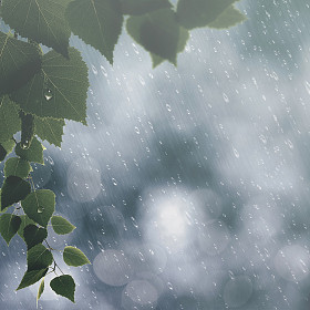 夏天雨背景图片