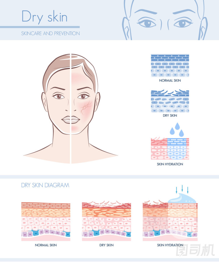 水化圖表與皮膚圖圖片