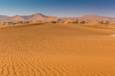 納米布沙漠 Sossusvlei 鹽湖