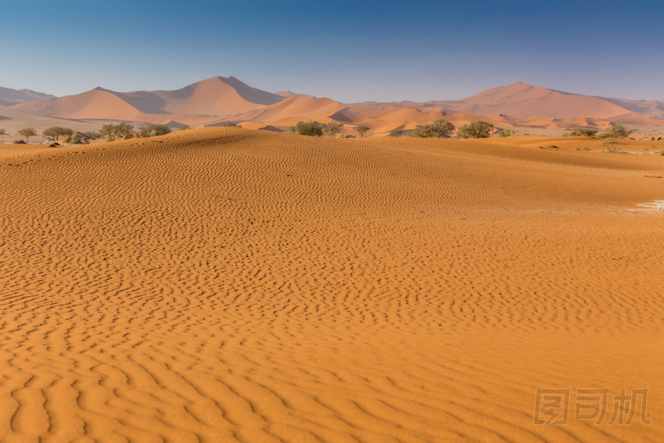 納米布沙漠 Sossusvlei 鹽湖