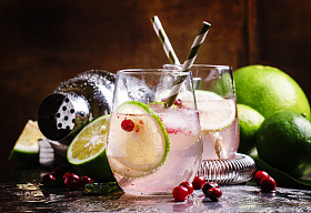 与柠檬、 小红莓、 糖浆和冰柠檬水