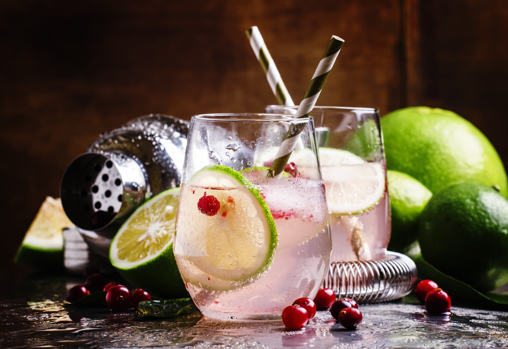 与柠檬、 小红莓、 糖浆和冰柠檬水 与柠檬、 小红莓、 糖浆和冰柠檬水