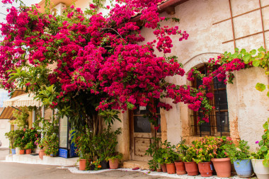 克里特島的城市美麗的街道