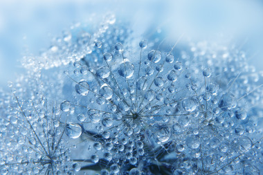 水滴