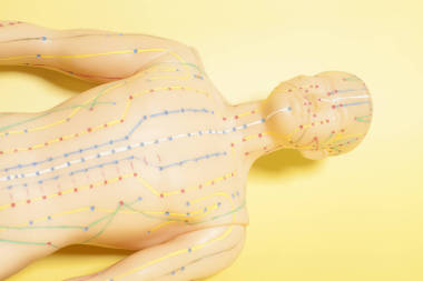 人類醫(yī)學針灸模型圖片