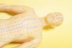 人类医学针灸模型图片