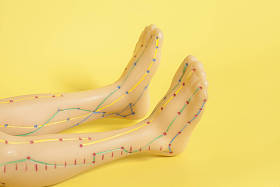 人类的足医学针灸模型