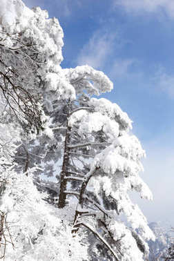黄山雪景图片