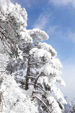 黄山雪景图片