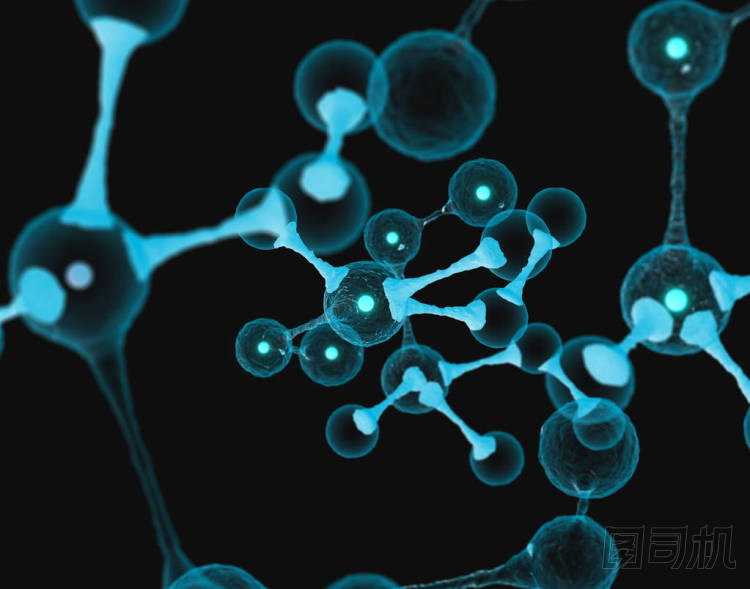 微生物學(xué)分子概念