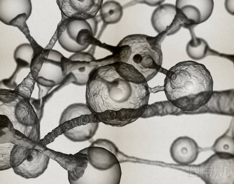 微生物學(xué)分子概念