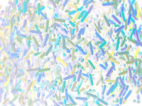 肠道细菌微生物组图片